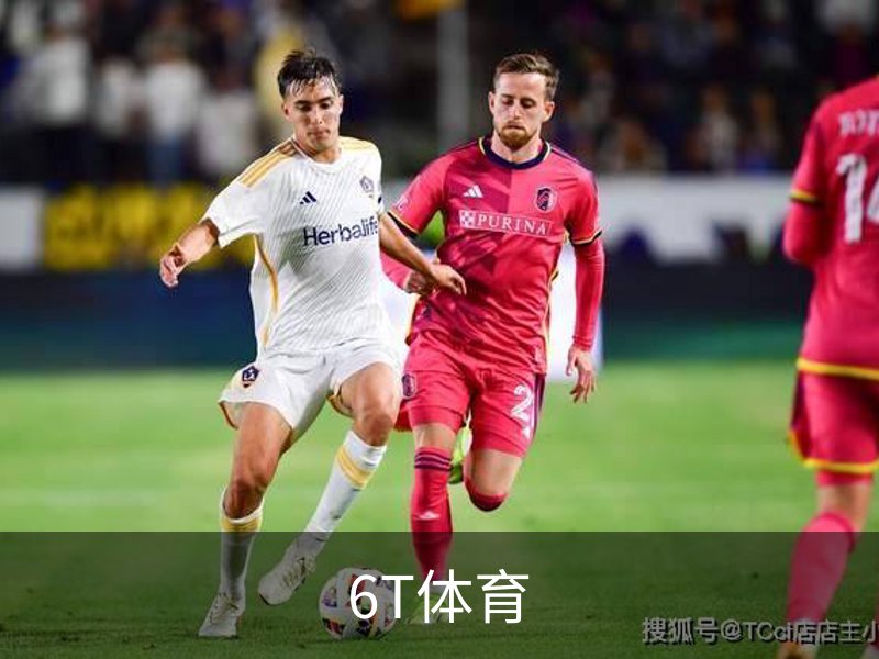 6T体育概况